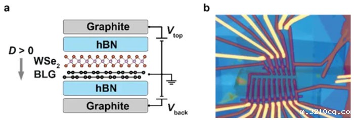 石墨烯超导重大发现，上海交通大学研究登 Nature